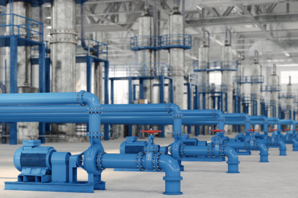 Best Plumbing Inspection Services  in Pine Ridge, SC