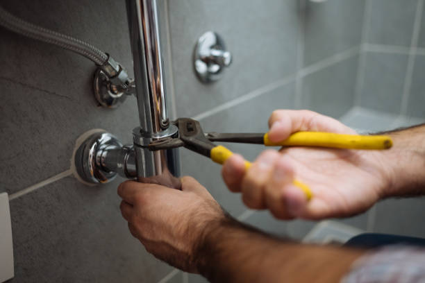 Best Local Plumber Services  in Pine Ridge, SC